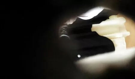 Karl đưa Irena trên đường phố, bắt đầu lăn phim heo moi nhat âm hộ của cô