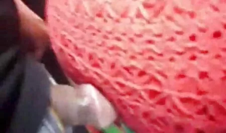 Chó trẻ ngồi trên một cái phim sex nhật bản mới 2019 ghế