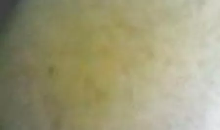 Nhút nhát, anh chàng da đen hỏi đồi trụy, anh chàng da jav nhật không che đen trong lông