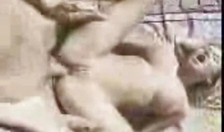 Hannah âm hộ trong một công viên. phim sex nhật có thuyết minh